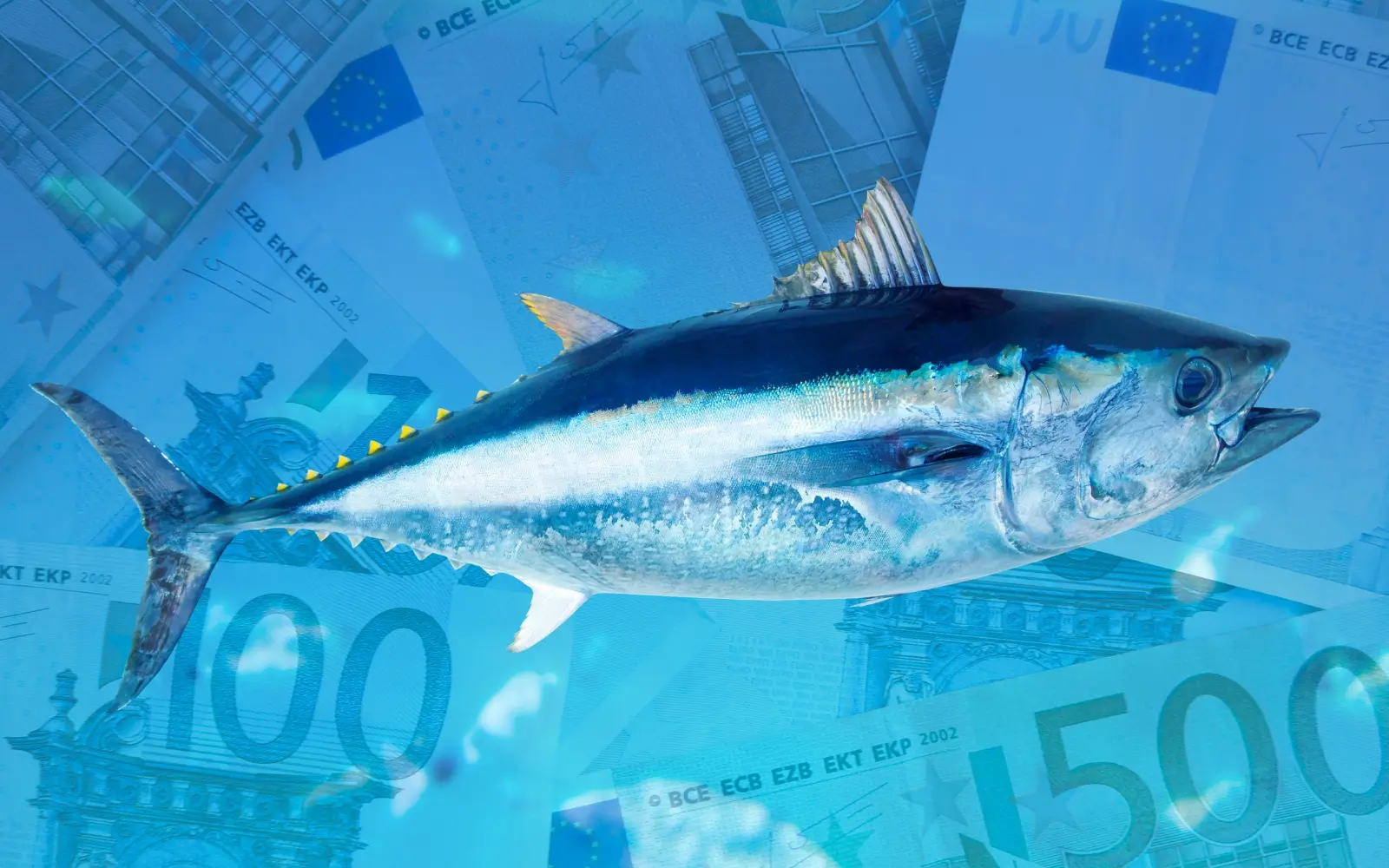 Maltese Fish Farm’s €650,000 ‘Loan’ To Convicted Mafia Associate Exposed In Asset Seizure
