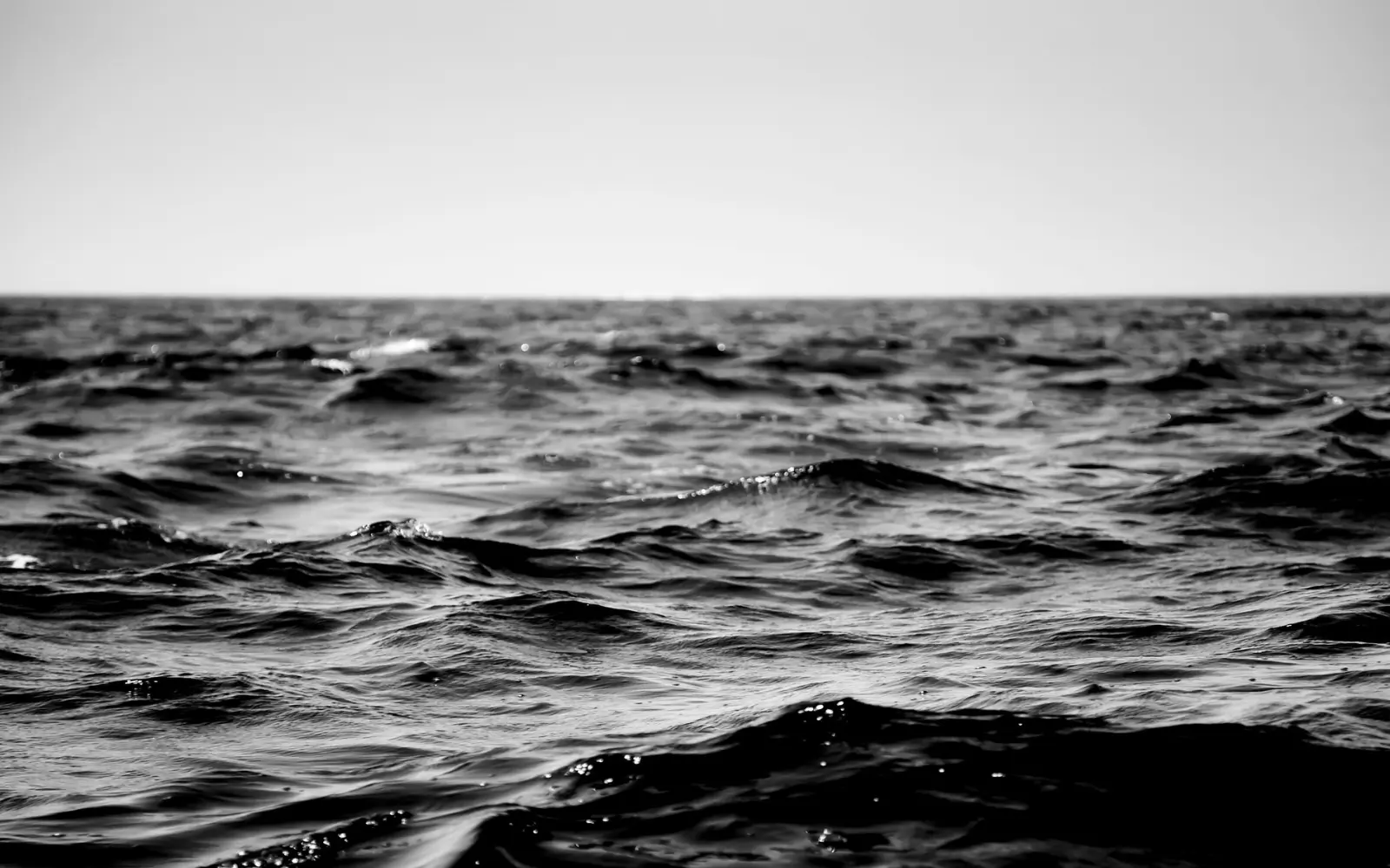 FATTI: Does Malta protect about one-third of its seas?