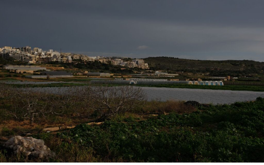 Maltese farms. Photo credit: Joanna Demarco