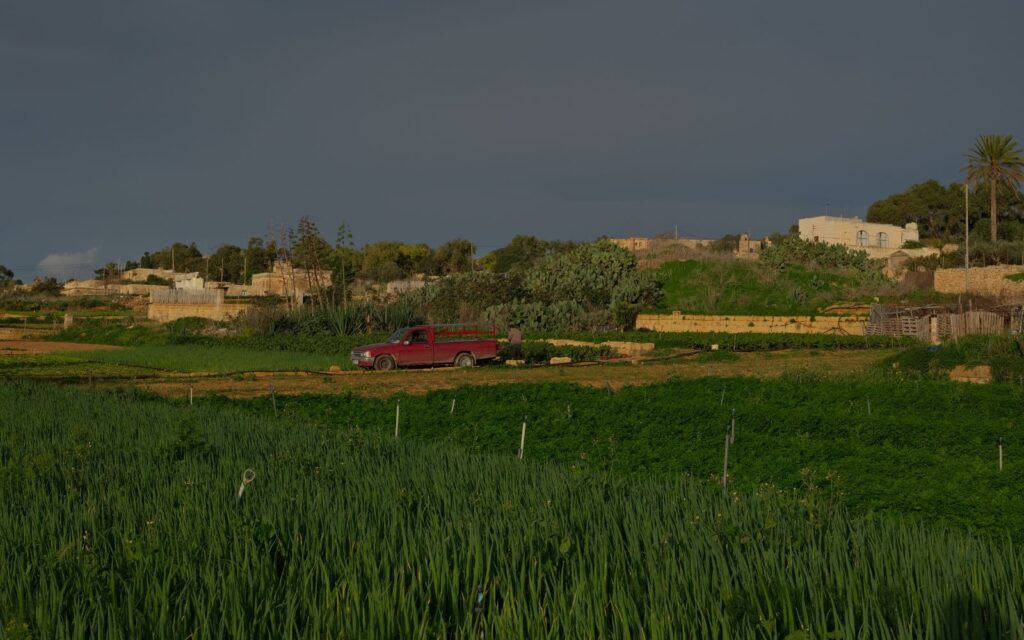 Maltese farms. Photo credit: Joanna Demarco
