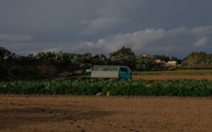 Maltese farms. Photo credit: Joanna Demarco