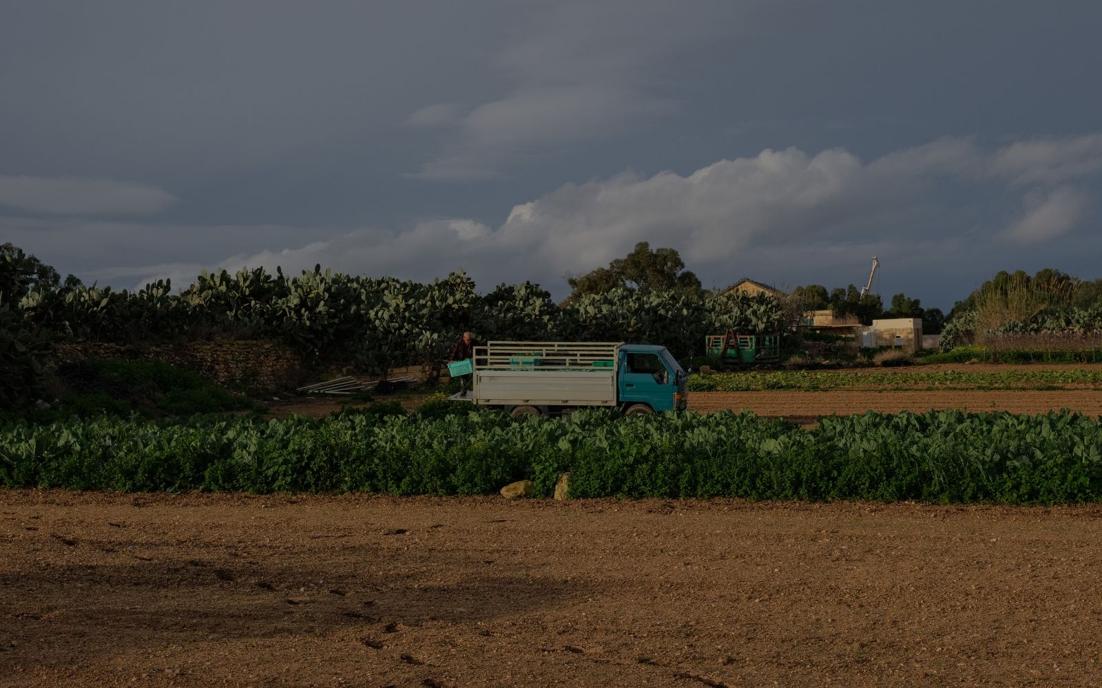 Maltese farms. Photo credit: Joanna Demarco