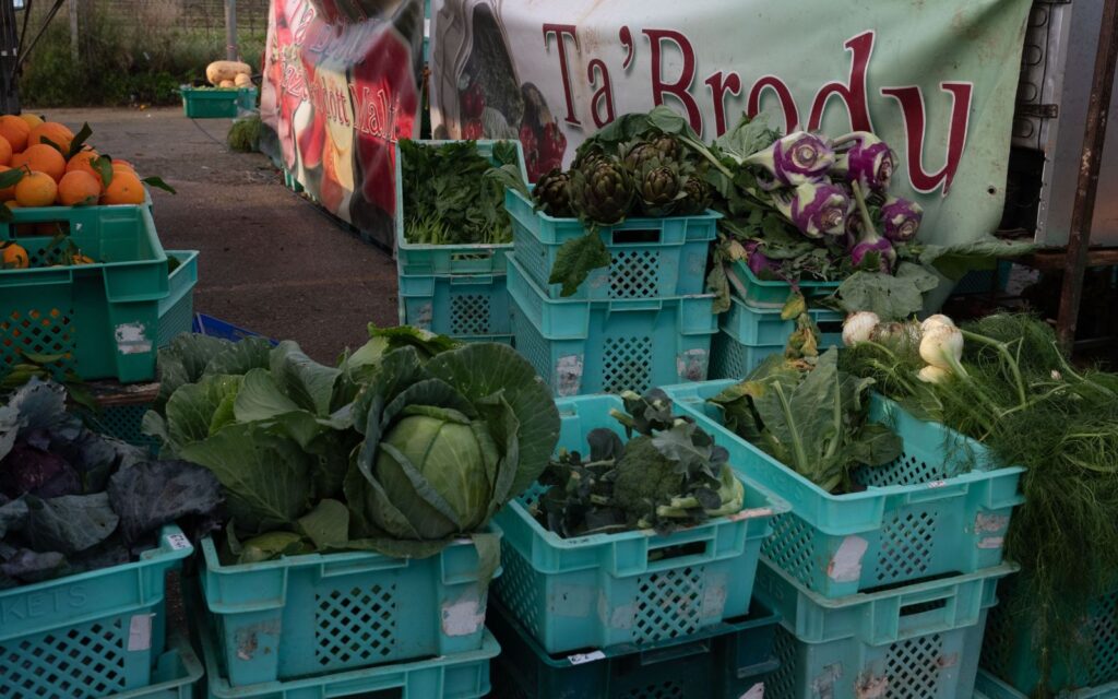 Maltese farms. Photo credit: Joanna Demarco