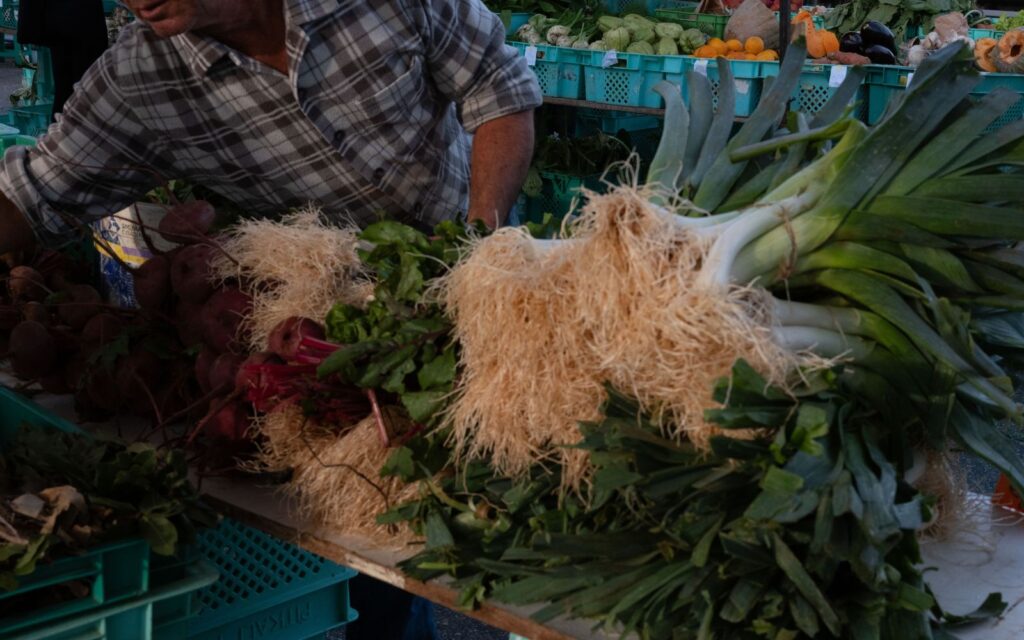 Maltese farms. Photo credit: Joanna Demarco